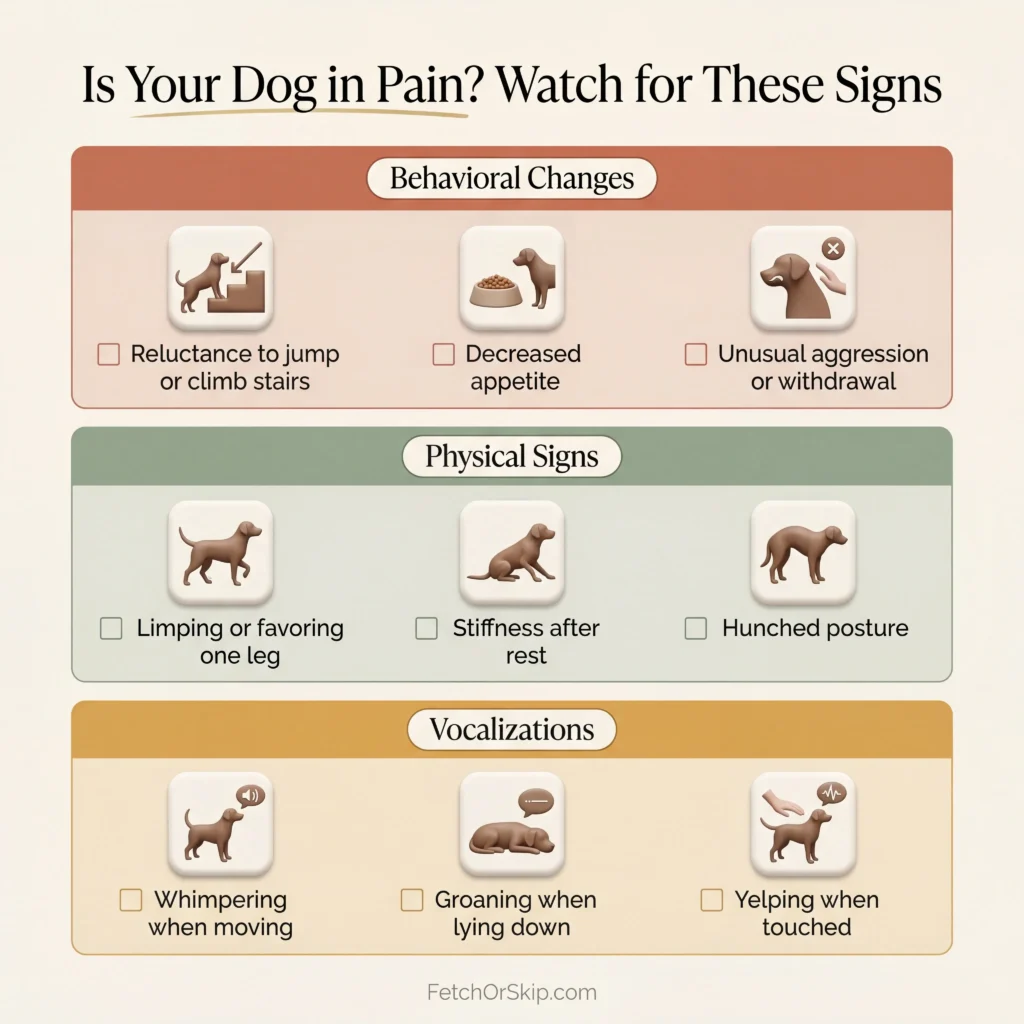 Checklist infographic showing signs your dog is in pain including behavioral changes physical symptoms and vocalizations to watch for